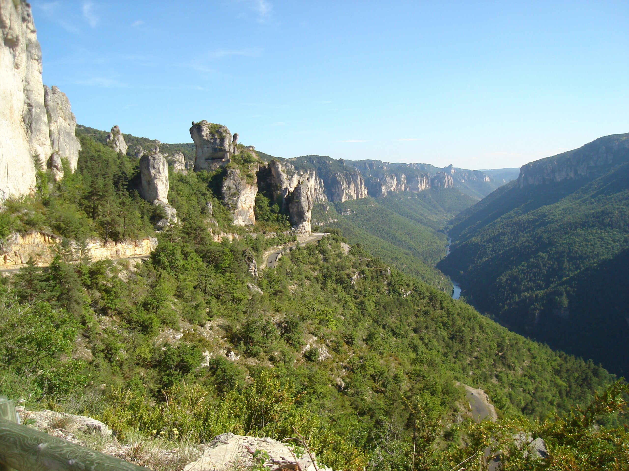 Gorges du Tarn above Les Vignes viewed from the Causse Méjean